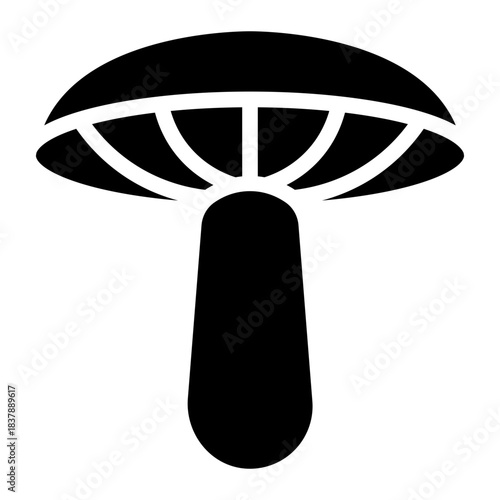 Mushrooms icons . Mushroom stem and cap, thin line design. The body of the fungus, linear symbols collection.. isolated vector illustration.