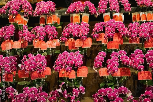 Photography Asia, China, Shanghai, Jade Buddha Temple, Yùfó Chán Sì, Niohveh Zoe Zy, flowers