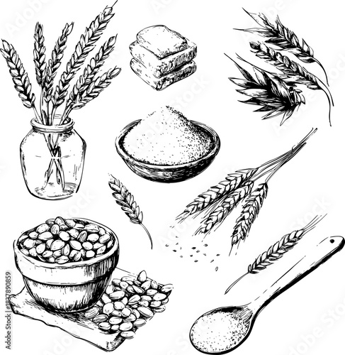 Hand-drawn illustrations of wheat flour and related ingredients.