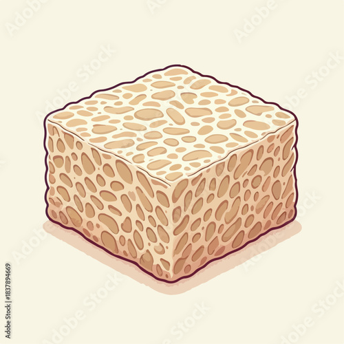 Vector illustration of raw tempeh