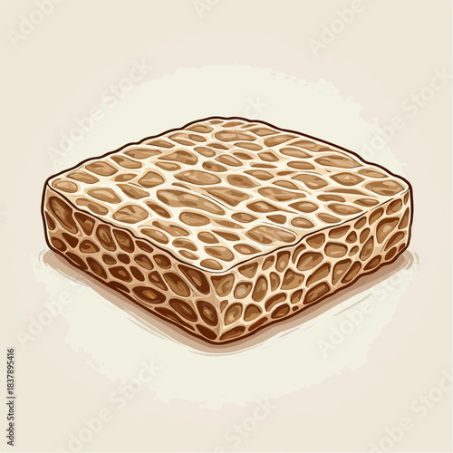 Vector illustration of raw tempeh