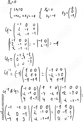 Higher mathematics. Solving homogeneous equations. Mathematics. Calculating a matrix.