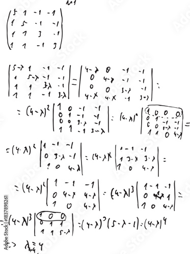 Calculate a matrix. Solving homogeneous equations. Mathematics. Algebra and geometry.