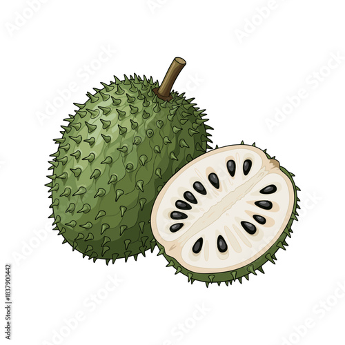 soursop fruit isolated on white background