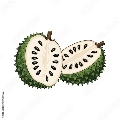 soursop fruit isolated on white background