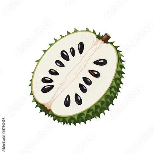 soursop fruit isolated on white background