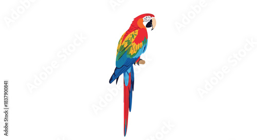 A vibrant and colorful scarlet macaw parrot perched on an unseen branch, beautifully illustrated and isolated on a white background.