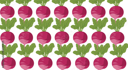 A repeating seamless pattern of bright pink radishes with green leafy tops arranged in neat rows on a plain white background.