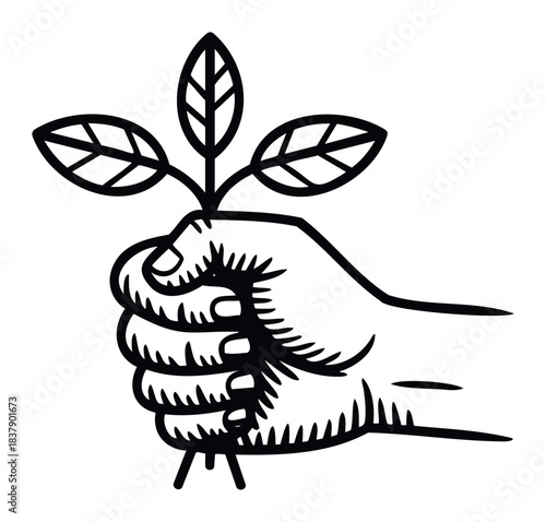 Hand holding a young plant symbolizing growth and new beginnings for environmental conservation and agriculture concepts