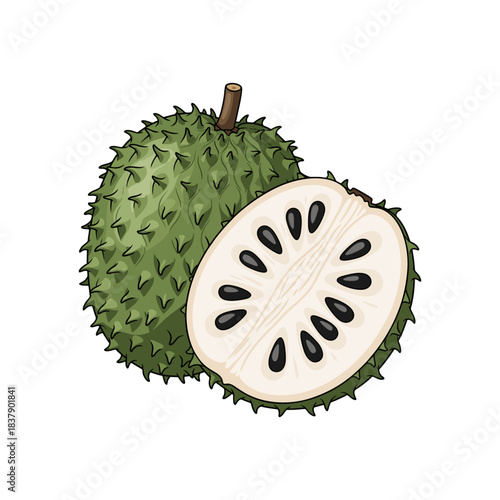 soursop fruit isolated on white background