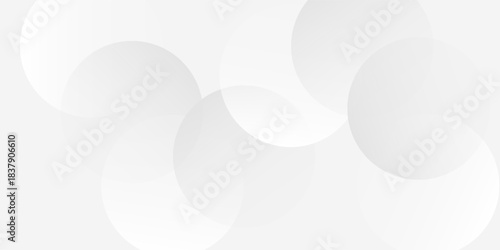 Modern background with gray circle. White and grey abstract modern transparency circle presentation background abstract