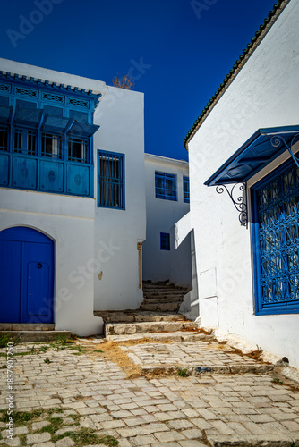 calles con puertas pintorescas en Tunez capital de Tunez