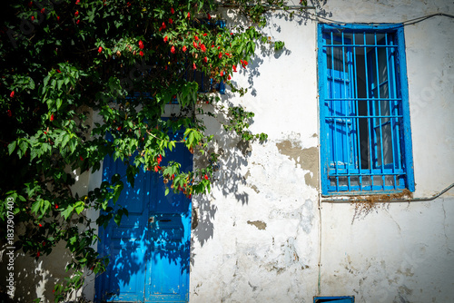 calles con puertas pintorescas en Tunez capital de Tunez