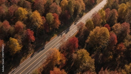 Aerial View of a Winding Road Through a Vibrant Autumn Forest.