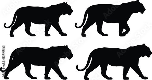 Four black silhouette tigers walking in profile on white background animal