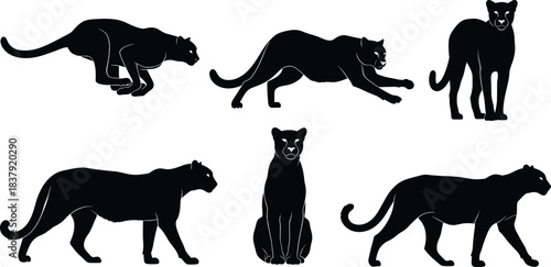 Six Black Panther Silhouettes in Various Poses on White Background big cat wild animal