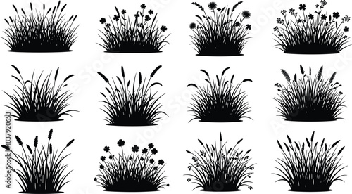 Twelve Black Silhouettes of Grasses and Wildflowers on White Background grass silhouette 1