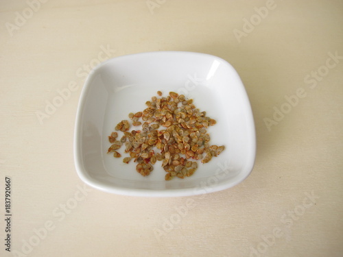 Tomato seeds extracted from garden tomatoes