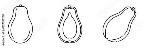 Papaya icon line art vector illustration