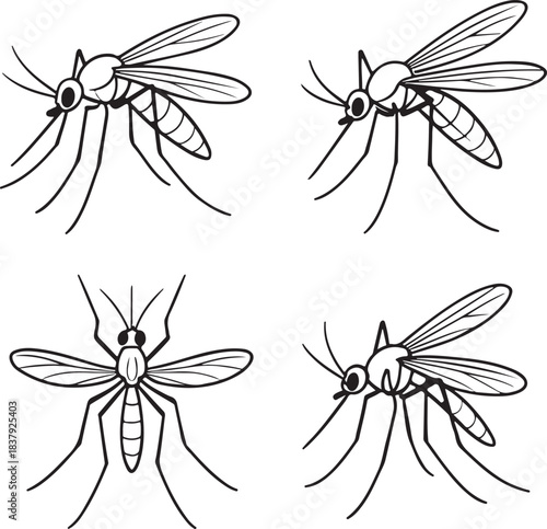Set  of mosquito line art