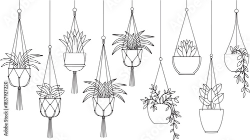 Collection of minimalist line art illustrations of hanging potted plants hanging plant macrame hanger
