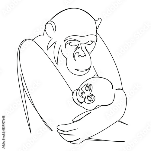 One continuous single drawing line art flat doodle primate, animal, chimpanzee, monkey, mammal, ape, baby. Isolated image hand draw contour on a white background
