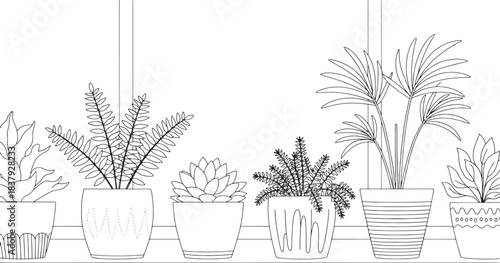 Line art illustration of various potted plants on a shelf houseplants black and white