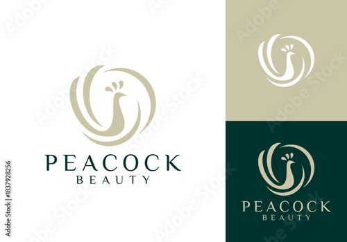 simple abstract circle peacock luxury logo vector design	