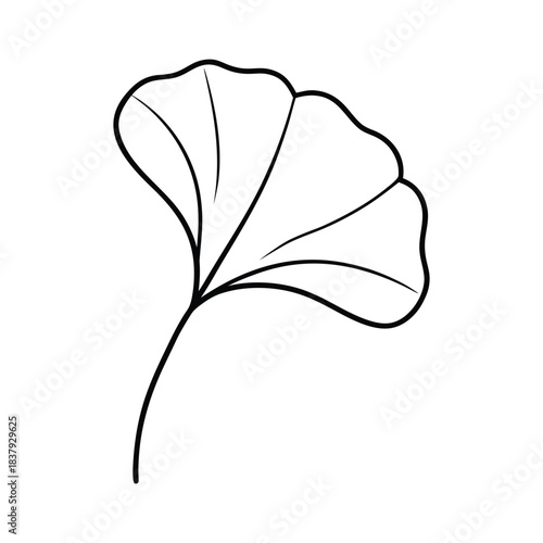 Minimalist ginkgo leaf line art illustration created for elegant botanical wall art Vector illustration