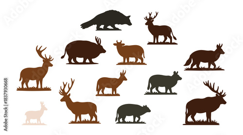 Vector images of North American animals in vibrant colors, many of which can be spotted in Alaska and Canada.
