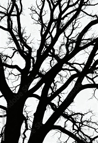 Majestic Bare Oak Tree Silhouette. Winter Halloween Art