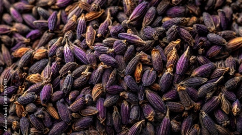 Lavender Seeds: A close-up shot of countless small, dark seeds of lavender evokes a sense of both the calming nature and aromatic essence of the plant.