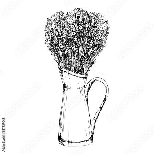 Lavender lavandula flowers bunch in French-style vintage metal jug. Isolated illustration hand drawn in vector ink, detailed line sketch. Wildflower packaging, herbal decoration, eco summer market