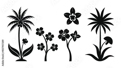 Black and white vector image with palm trees and flower silhouettes