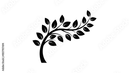 Black silhouette of a tree branch with leaves on a white background