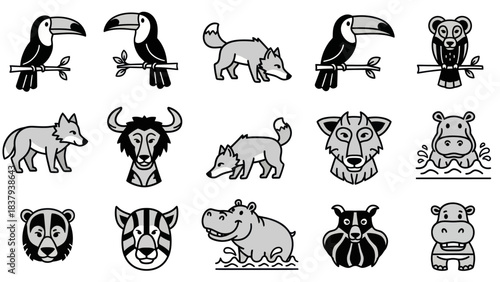 Animal collection diverse wildlife illustrations for design and media