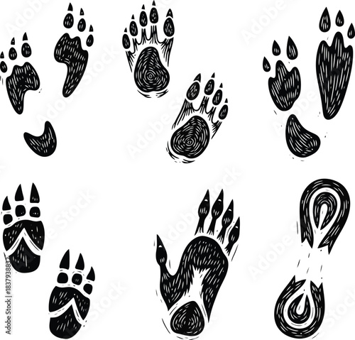 Linocut icons showing footprints of rare and mythical forest creatures in bold carved style