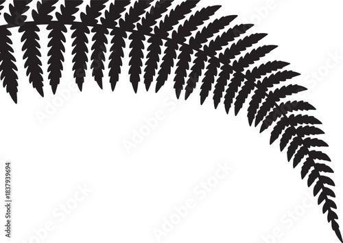 Black silhouette of a fern frond curving on a white background Keywords: fern, frond, leaf