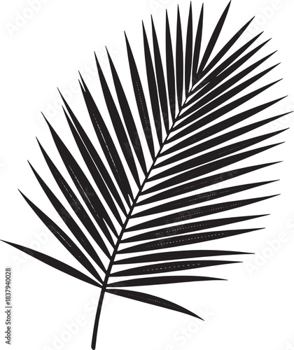 Black Silhouette of a Palm Leaf Frond tropical plant