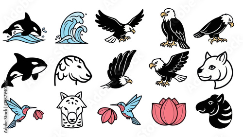 Animal illustrations orca eagle zebra and hummingbird vector set