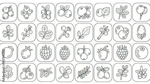 Berry icons set outlined illustrations of various fruits and leaves