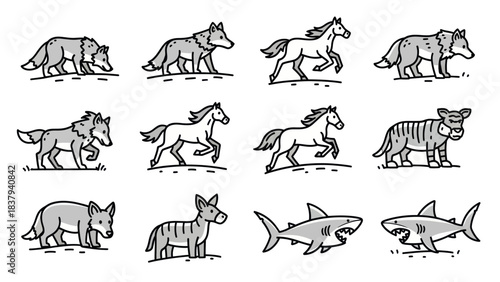 Animal illustrations wolves horses tiger shark zebra in vector style