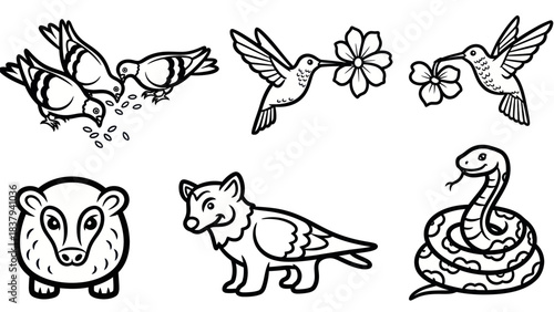 Black and white animal illustrations pigeons hummingbirds badger fox snake