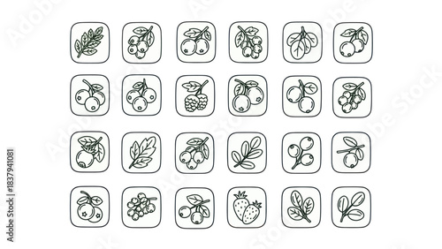 Berry icons set outlined illustrations of various fruits in square frames