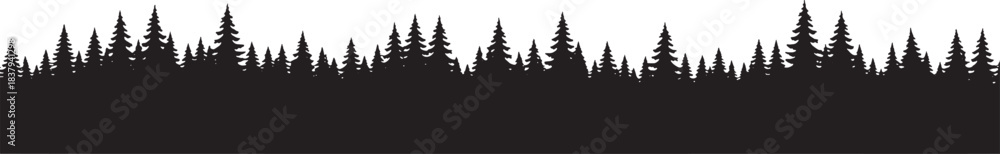 Fototapeta premium Silhouette of a dense forest of pine trees evergreen