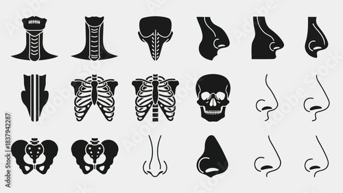 Anatomical illustrations human body parts rendered in black and white