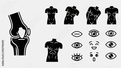 Anatomical illustrations knee joint torso figures and eye expressions