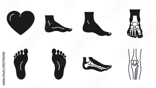 Black anatomical illustrations of human feet and related elements