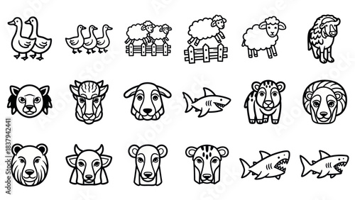 Black and white animal illustrations sheep ducks bears sharks and more