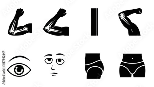 Anatomical illustrations of human body parts and facial expressions